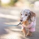 Thumbnail of post image 168