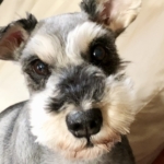 Thumbnail of post image 089