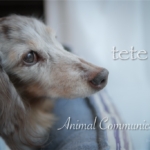 Thumbnail of post image 154